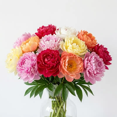 5. Peonies